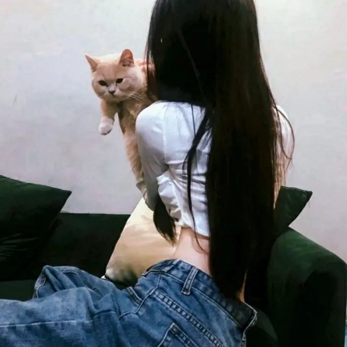 妙探乌龙记