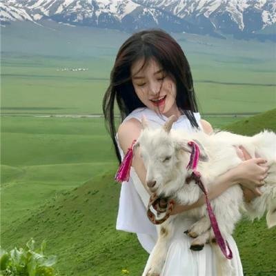 傲骨贤妻第六季
