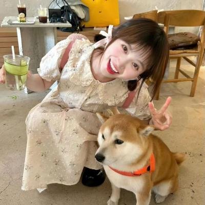 丁香花开的兽道